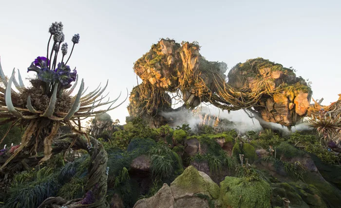 PHOTO - New shot from inside Pandora - The World of Avatar and description  of the land