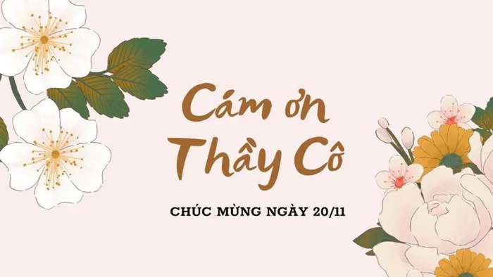 Xem ngay 100+ hình ảnh 20/11 đẹp nhất, thể hiện ý nghĩa sâu sắc của ngày  Nhà giáo Việt Nam