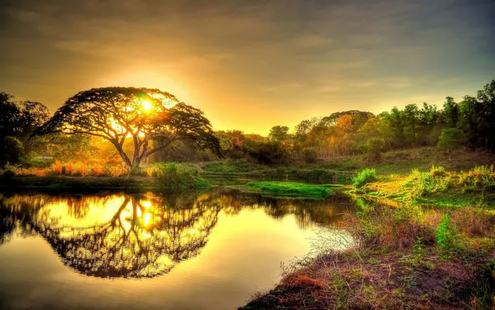 Ảnh đại diện thiên nhiên độc đáo