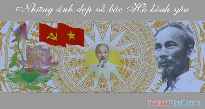 Hình ảnh bác Hồ – Tổng hợp hình ảnh đẹp về bác Hồ kính yêu – Chủ Tịch Hồ  Chí Minh