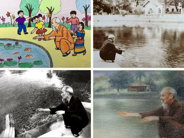 101 hình ảnh Bác Hồ cho cá ăn, tải miễn phí | Ao cá, Hình nền