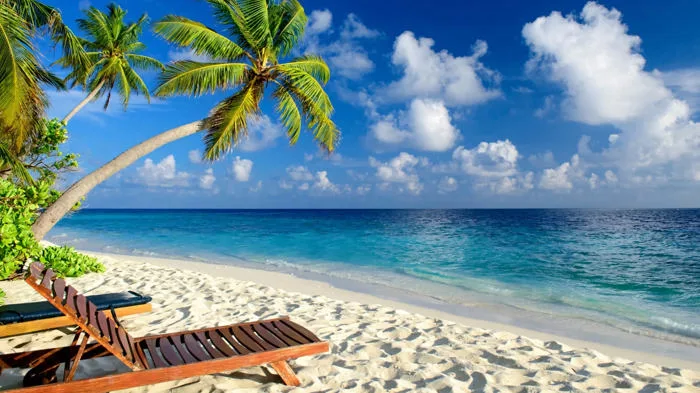 Ảnh Biển Chill Hoàng Hôn, Bình Minh Cho Điện Thoại, Máy Tính