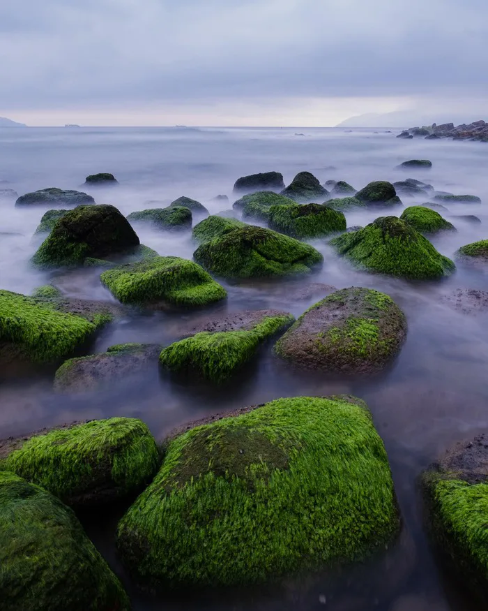 50000+ Beach Background & ảnh Thiên Nhiên miễn phí - Pixabay