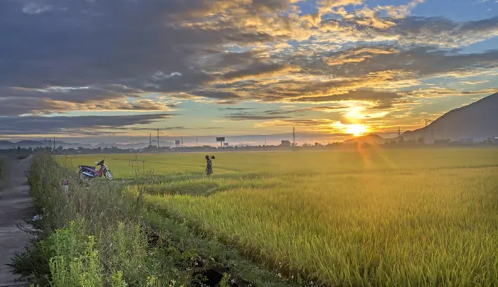 Tổng hợp 20+ ảnh background bình minh thiên nhiên thơ mộng