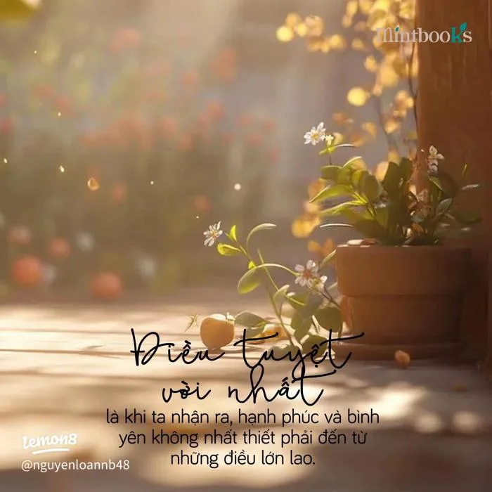 Hạnh phúc giản đơn: Những hình ảnh bình yên và hạnh phúc từ điều nhỏ bé