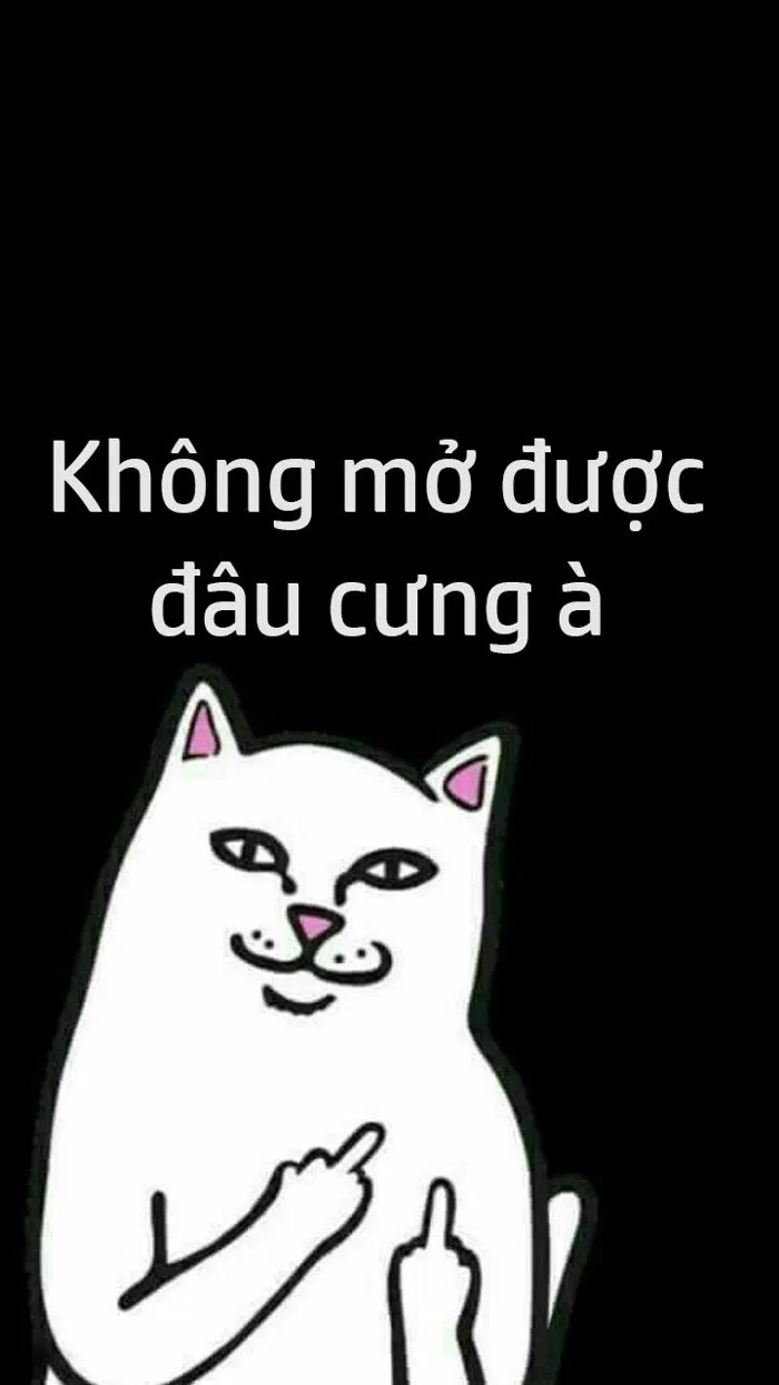 Ảnh bỏ điện thoại tao xuống, hình bỏ điện thoại tao xuống - QuanTriMang.com