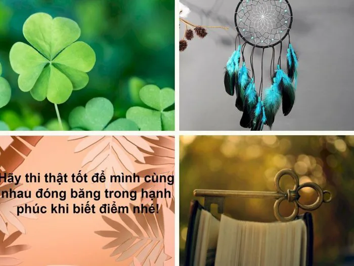 101 hình ảnh may mắn cho kỳ thi đẹp, ý nghĩa, chất lượng cao, tải miễn phí
