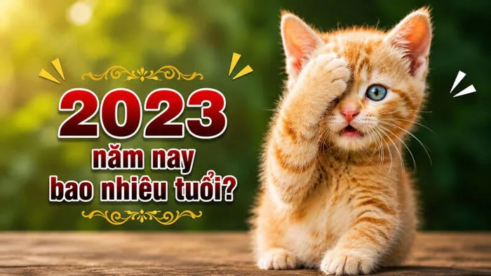 Sưu tầm 66+ hình nền bùa may mắn Trung Quốc hút tài lộc