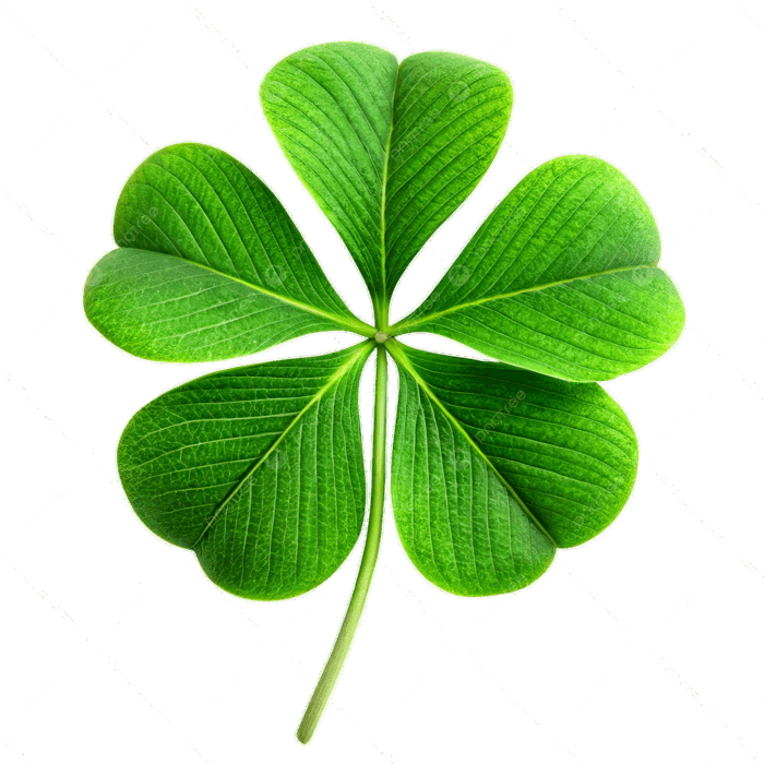 Hình ảnh Bùa May Mắn Của Thiên Nhiên PNG , Cỏ Bốn Lá, Cỏ Ba Lá May Mắn,  Chúc May Mắn PNG trong suốt và Vector để tải xuống miễn phí