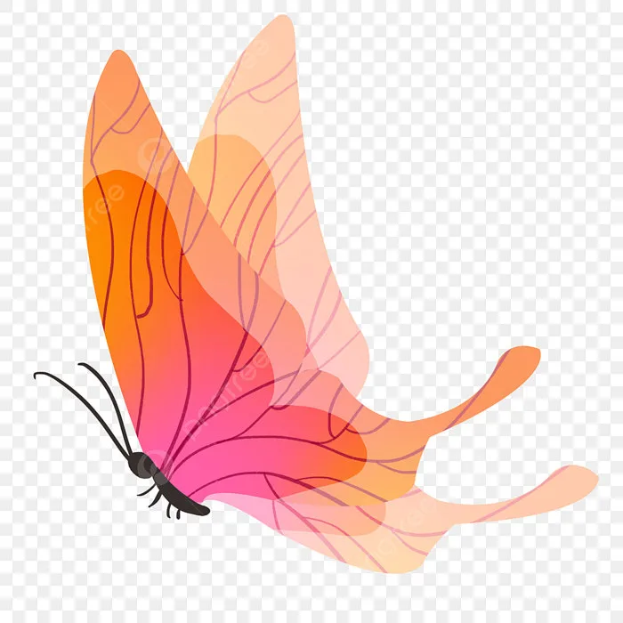 Hình ảnh Hình ảnh Hoạt Họa Con Bướm Xinh đẹp PNG , Hình ảnh Hoạt Họa Con  Bướm Xinh đẹp PNG , Những Con Bướm Xinh đẹp, Những Con Bướm đang Bay