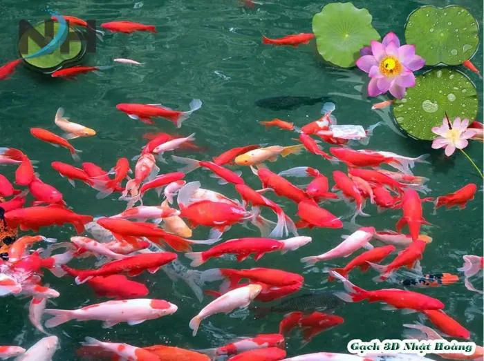 Đem hồ cá koi và nhà nhờ mẫu gạch 3D lát nền cá chép 3DNH115