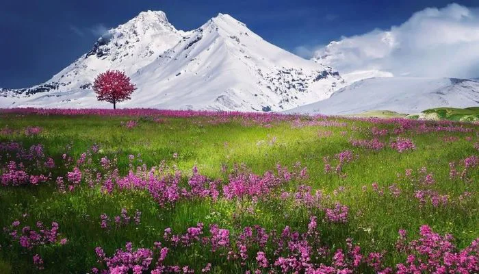 199+ Hình nền phong cảnh thiên nhiên ĐẸP, 4K sắc nét, hùng vĩ nhất