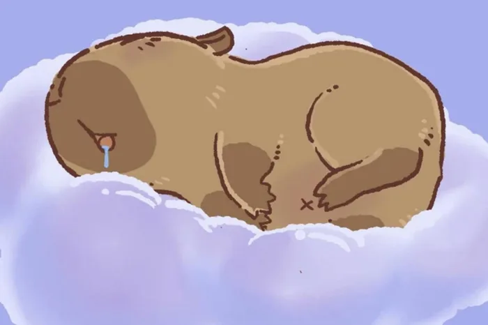 Tải miễn phí 50+ hình ảnh capybara cute, siêu “tan chảy”