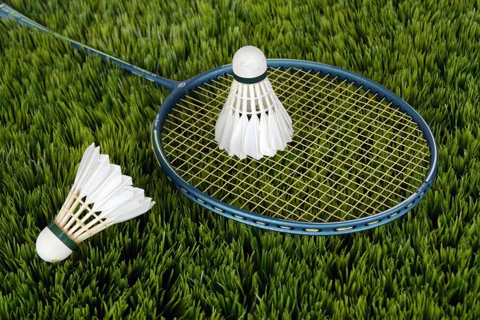 200+ Badminton & ảnh Cầu Lông miễn phí - Pixabay
