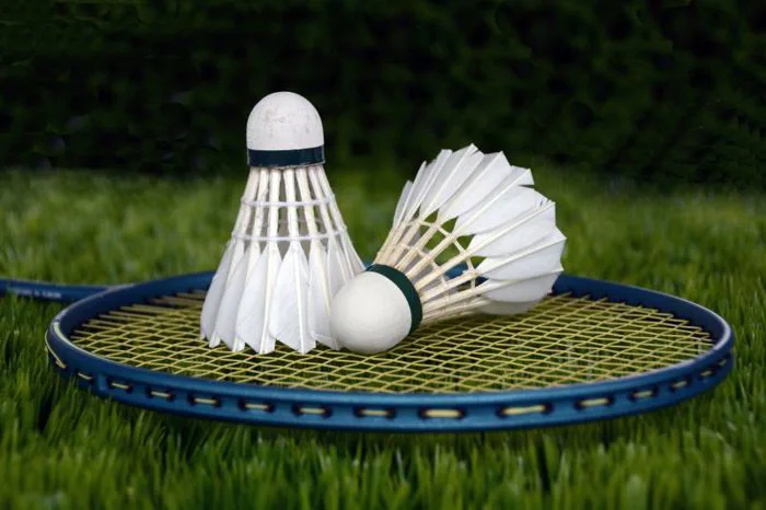 Cầu lông Hình ảnh - hình ảnh & hình ảnh đẹp - PxHere