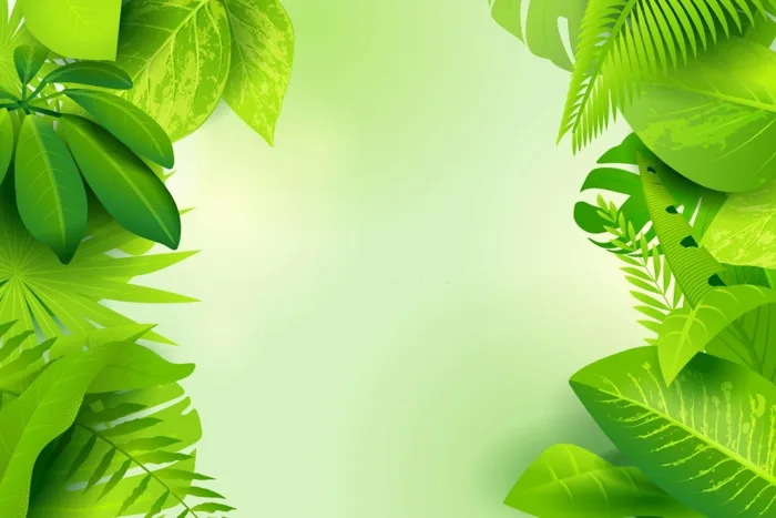 Background cây xanh đẹp