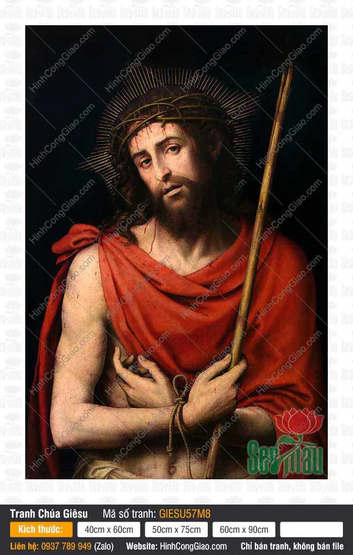 Hình ảnh Chúa Jesus đẹp nhất GieSu57M8 | Khổ hình mão gai