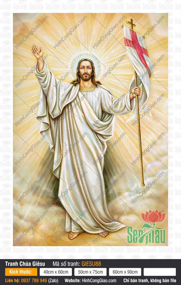Hình Ảnh Chúa Jesus - Ảnh Công Giáo GieSu88 | Cờ Phục Sinh