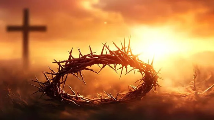 101+ Hình Ảnh Chia Buồn Đám Tang Công Giáo ✝️⛪, Avatar Ảnh Buồn Công Giáo