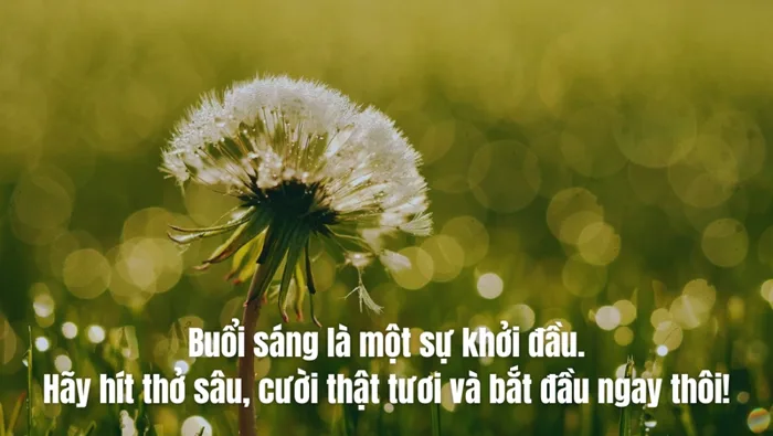 30+ ảnh động lực hay nhất để bạn có thêm tự tin để bước tiếp