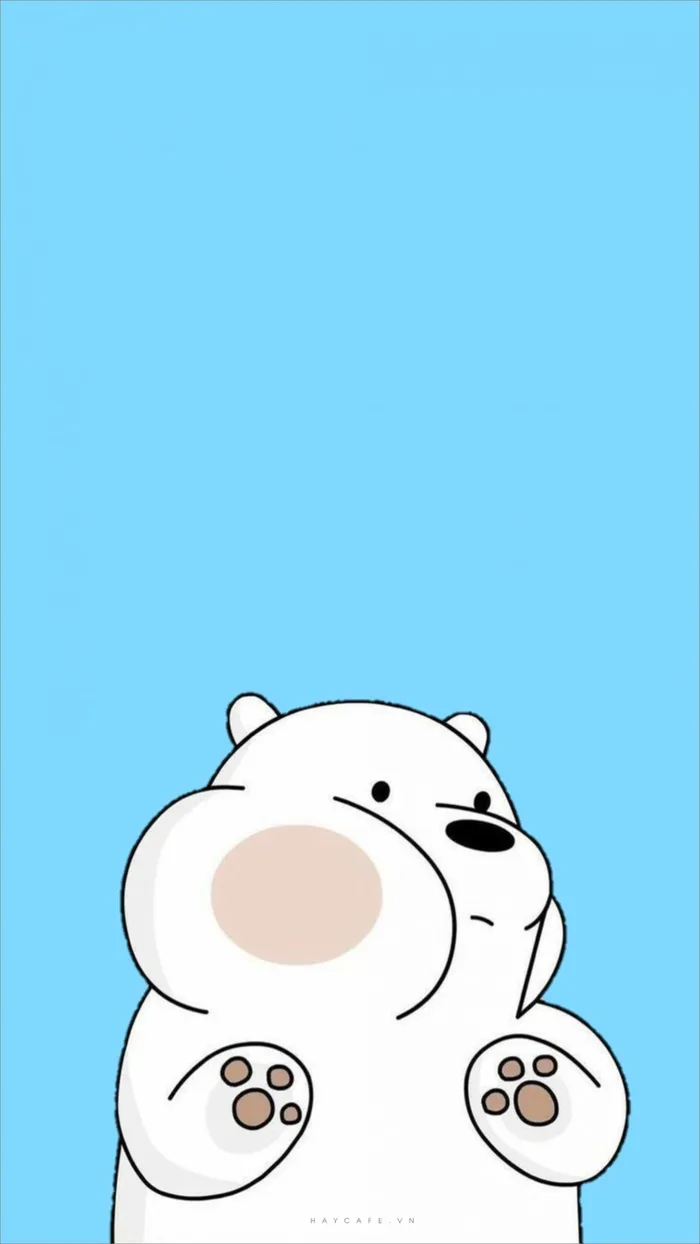 Bộ sưu tập hình nền gấu cute cho điện thoại và máy tính