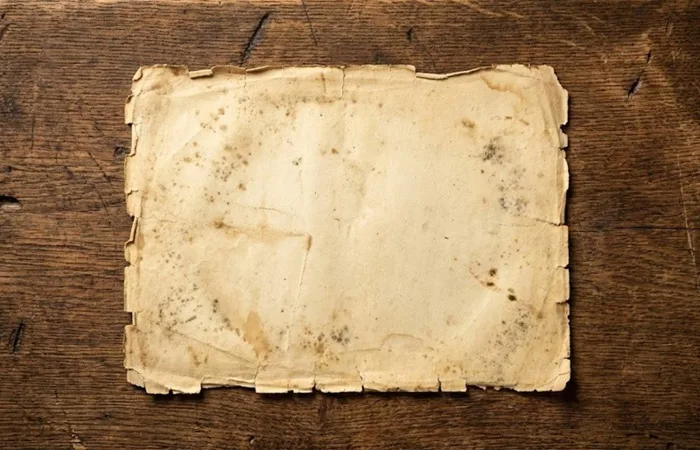 Tổng hợp 50+ Texture Giấy Kraft, Giấy Nhăn, Gỗ Vintage độ phân giải cao  (High-Res) miễn phí 2026
