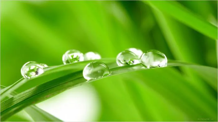 99+ Hình ảnh giọt nước đẹp long lanh, thuần khiết