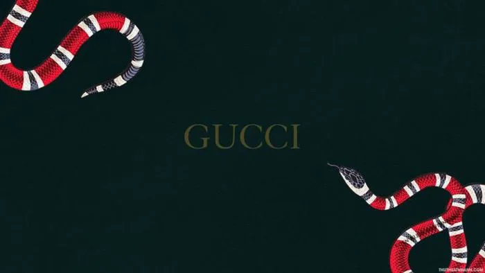 Hình ảnh Gucci đẹp, ấn tượng, đẳng cấp, sang trọng