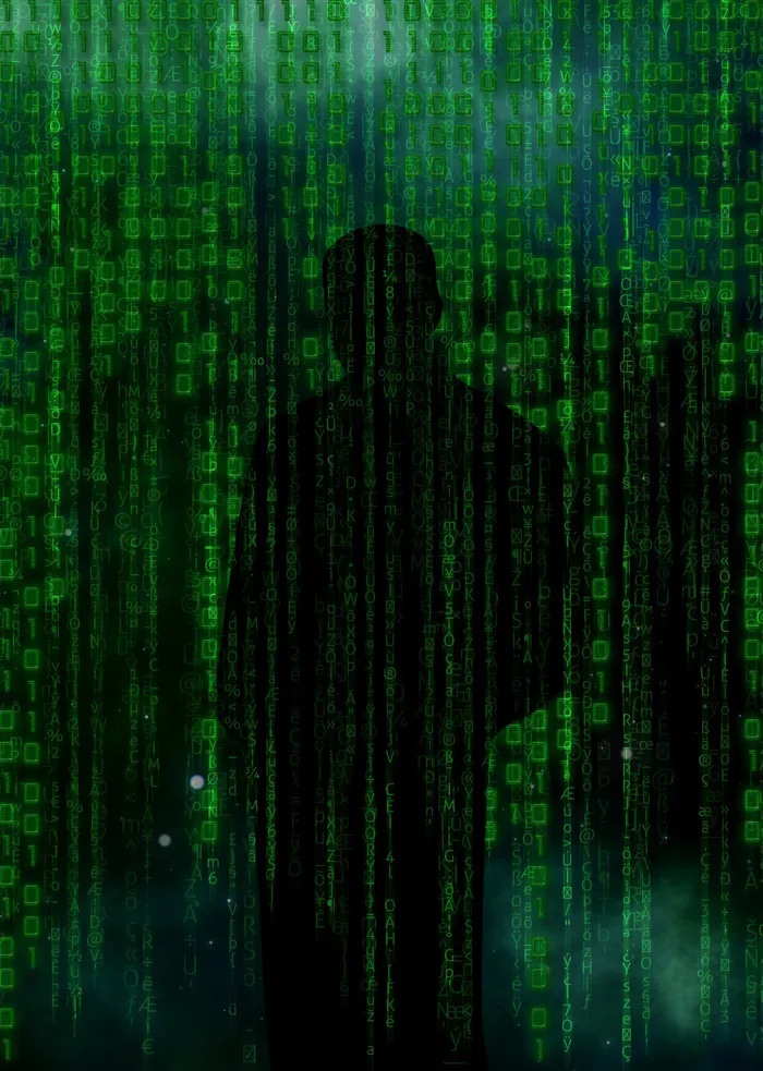 hình ảnh : máy vi tính, Đàn ông, ánh sáng, Công nghệ, Ánh sáng mặt trời,  kết cấu, Web, Internet, hàng, màu xanh lá, Sự phản chiếu, rừng nhiệt đới,  giao tiếp,
