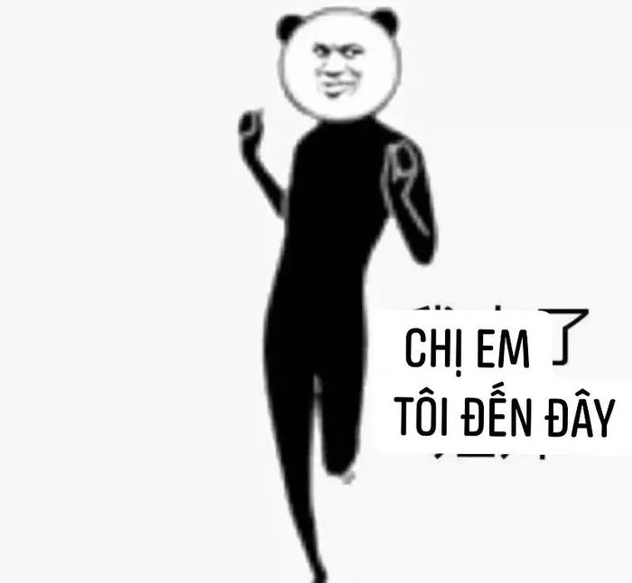 Những bức ảnh nhây đầy hài hước