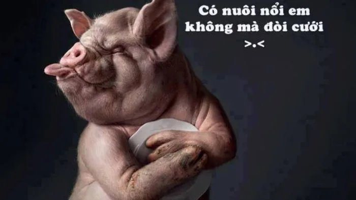 Sưu tập 101+ hình ảnh hài hước, chế bá đạo cute nhất