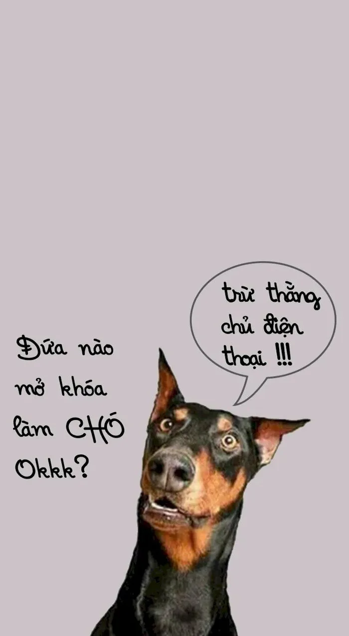 101 ảnh có chữ hài dễ thương, chất lượng cao, tải miễn phí