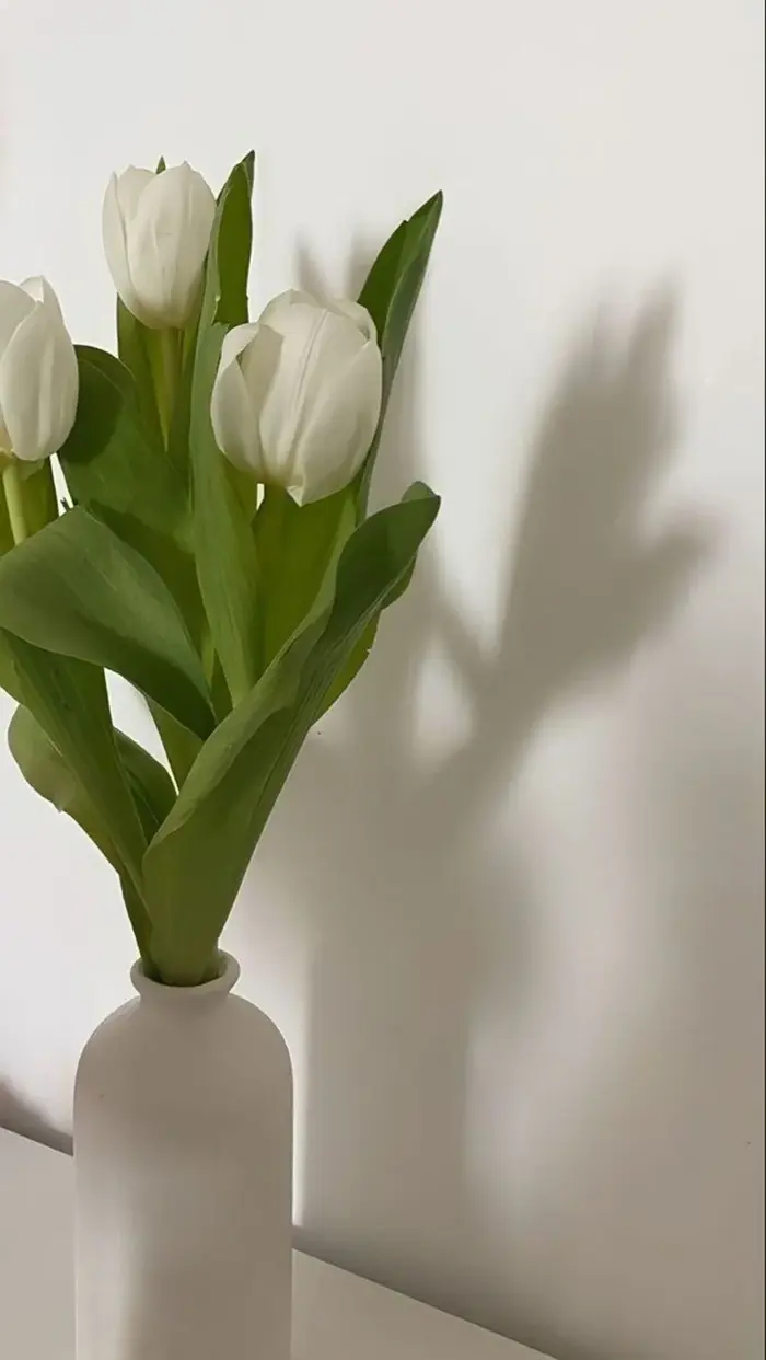 Hình nền hoa tulip đẹp rực rỡ cho điện thoại