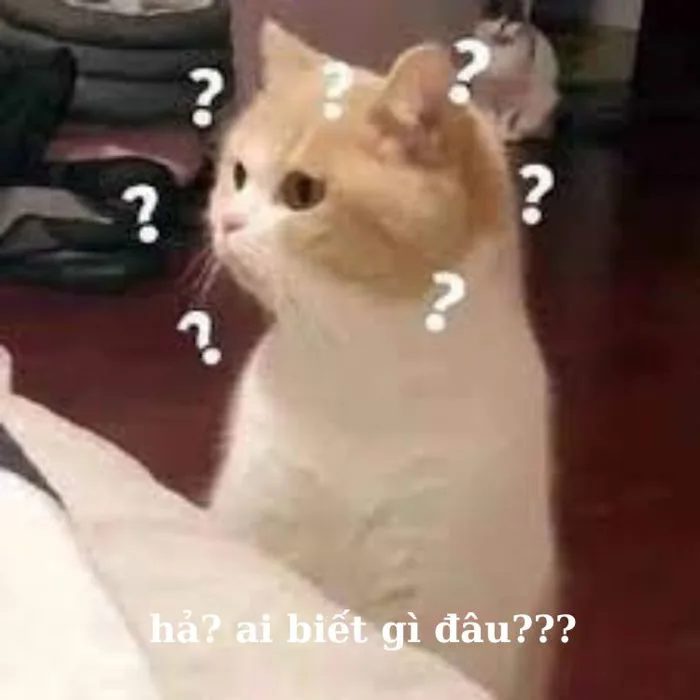 Bỏ túi 30 hình ảnh “ai biết gì đâu meme” SIÊU ĐÁNG YÊU | Yody