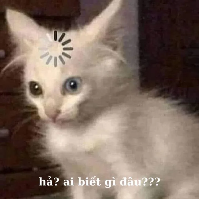 Bỏ túi 30 hình ảnh “ai biết gì đâu meme” SIÊU ĐÁNG YÊU | Yody