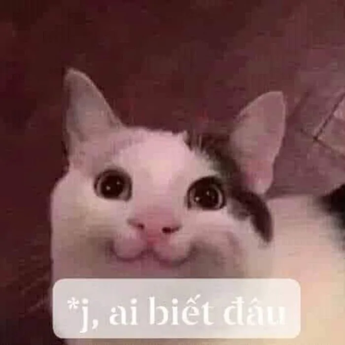 Meme 'Ai biết gì đâu' với sự hài hước khó đỡ