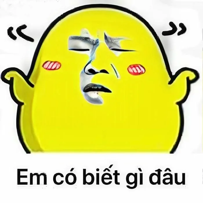 Bộ 166+ Ai Biết Gì Đâu Meme Cực Lầy Khiến Bạn Cười Té Ghế