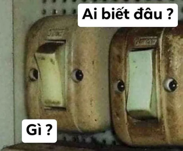 Tổng Hợp 100+ Ai Biết Gì Đâu Meme Vui Nhộn, Hài Hước Gây Cười 2026
