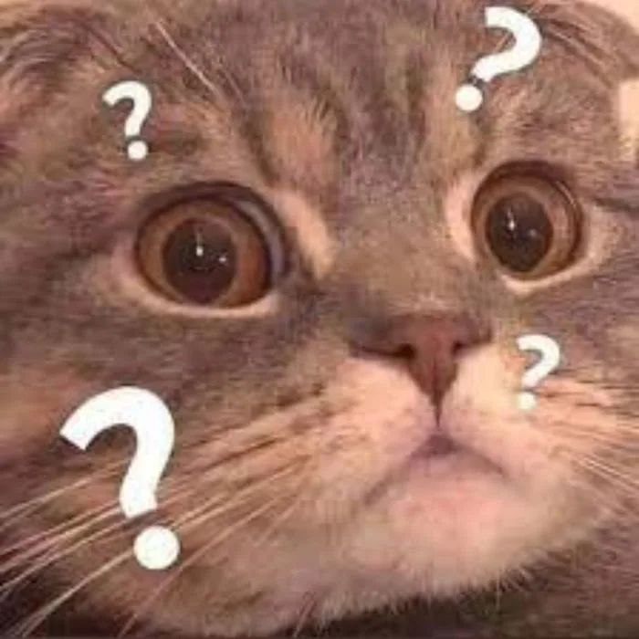 Bỏ túi 30 hình ảnh “ai biết gì đâu meme” SIÊU ĐÁNG YÊU | Yody