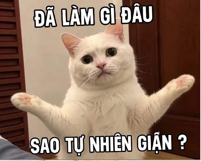 Khám phá trọn bộ 103+ hình ảnh meme ảo thật đấy đầy hài hước -  hinhanhdep3d.com