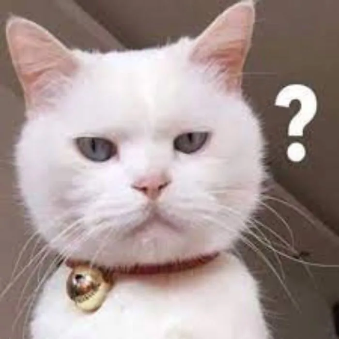Bỏ túi 30 hình ảnh “ai biết gì đâu meme” SIÊU ĐÁNG YÊU | Yody