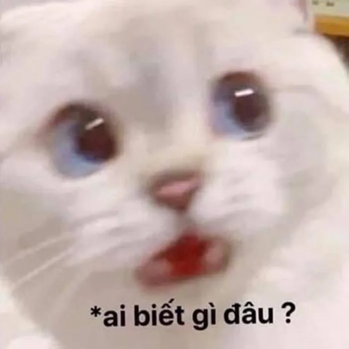 Meme 'Ai biết gì đâu' với sự hài hước khó đỡ