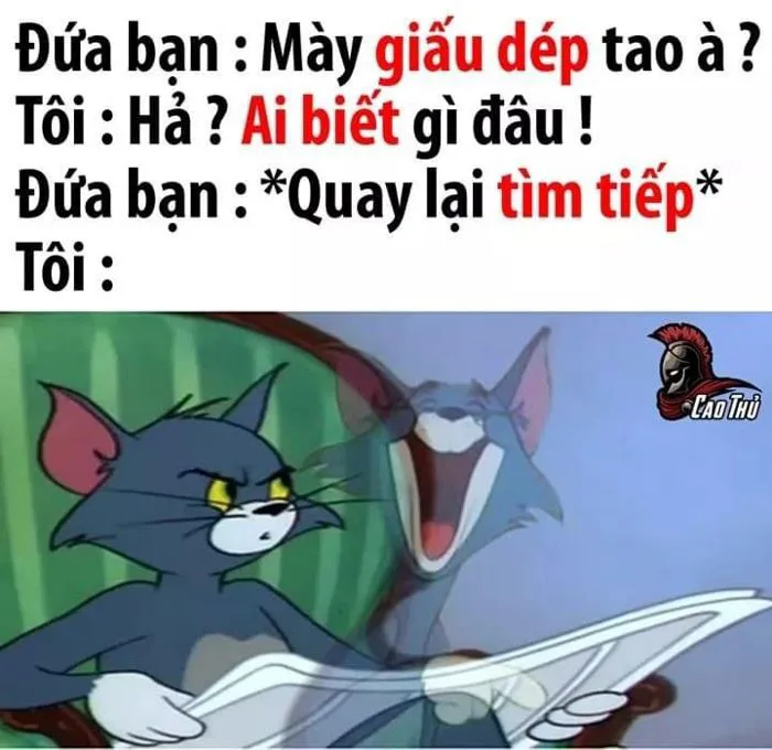 Tôi giả vờ tìm cùng nó 😈 | Tom và jerry, Ảnh hài hước nhất, Từ điển teen