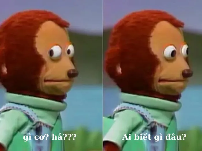 Bỏ túi 30 hình ảnh “ai biết gì đâu meme” SIÊU ĐÁNG YÊU | Yody