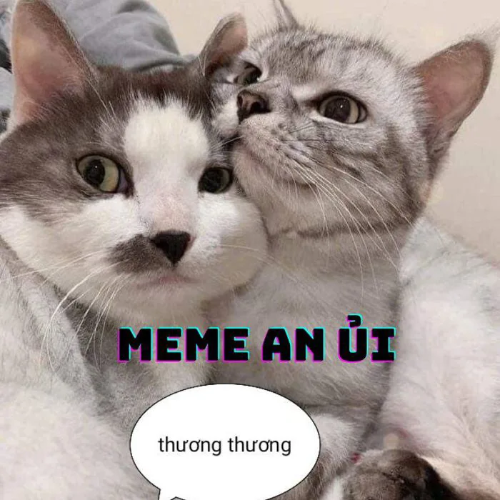 Top ảnh meme an ủi siêu dễ thương giúp bạn vực dậy tinh thần