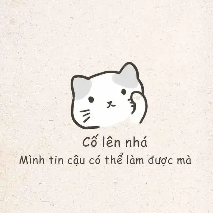 125+ Meme An Ủi cảm thông phù hợp vỗ về chữa lành cho bạn bè người thân