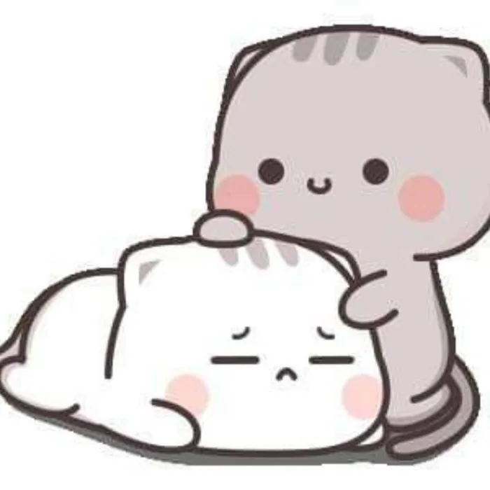 Cười ngất với những ảnh meme an ủi hay nhất