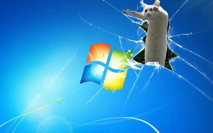🔥 [60+] Meme Desktop Wallpapers | WallpaperSafari