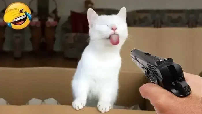 Cười ngất với bộ ảnh meme bắn súng vui nhộn nhất hiện nay