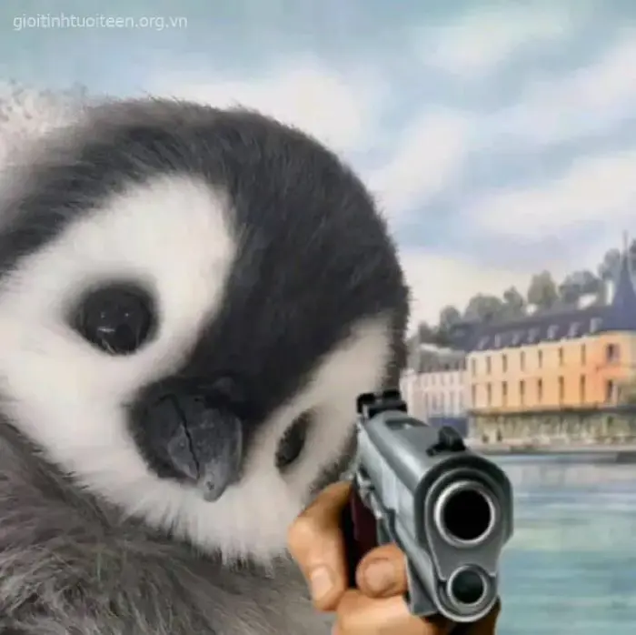 100+ Meme Cầm Súng, Chỉa Súng Vào Màn Hình đậm chất xã hội đen nhưng vẫn  hài hước